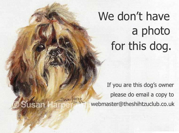 We don't have a photo on file for this dog. We'd like one though.